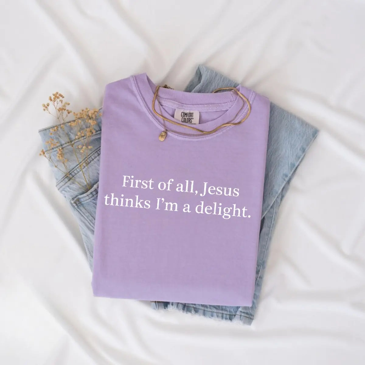 Comfort Colors Jesus Thinks I'm A Delight Shirt, Funny Christian