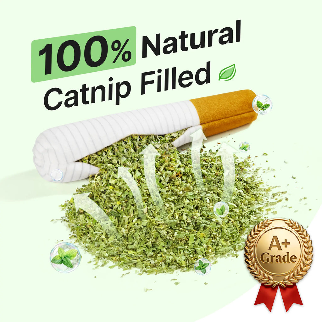 Potaroma Catnip Toys with 15,000mg A+ Premium Natural Catnip – Baby-Grade Interactive Chew & Kicker Toys for Indoor Cats & Kittens, Boredom & Stress Relief #SummerVibes #petlovers