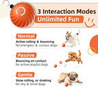 Interactive Dog  Dog Balls, 2.7inMoving Dog Ball, Durable Motion Activated Automatic Rolling Ball , USB Rechargeable outdoor pet toy-GTTQ