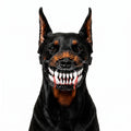 Doberman wearing scary realistic fang dog muzzle