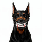 Doberman wearing scary realistic fang dog muzzle