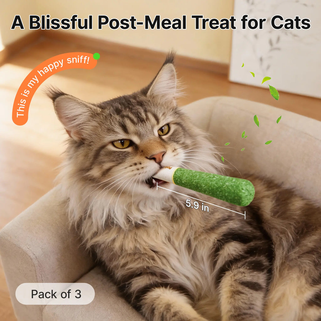 Potaroma Catnip Toys with 15,000mg A+ Premium Natural Catnip – Baby-Grade Interactive Chew & Kicker Toys for Indoor Cats & Kittens, Boredom & Stress Relief #SummerVibes #petlovers