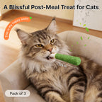 Potaroma Catnip Toys with 15,000mg A+ Premium Natural Catnip – Baby-Grade Interactive Chew & Kicker Toys for Indoor Cats & Kittens, Boredom & Stress Relief #SummerVibes #petlovers