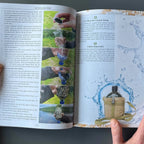 Wilderness Long-Term Survival Guide: Forgotten Skills to Make the Wild Your Home | Hiking, Hunting, Camping & Foraging Info by Dr. Nicole Apelian